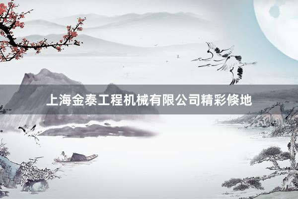 上海金泰工程机械有限公司精彩倏地
